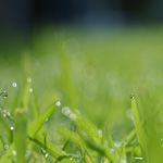 林田学のブログは生活の上で役立ちます